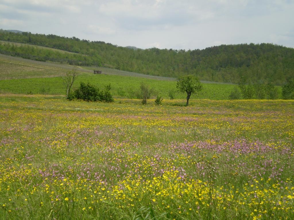 Chiardiluna Пистойя Номер фото